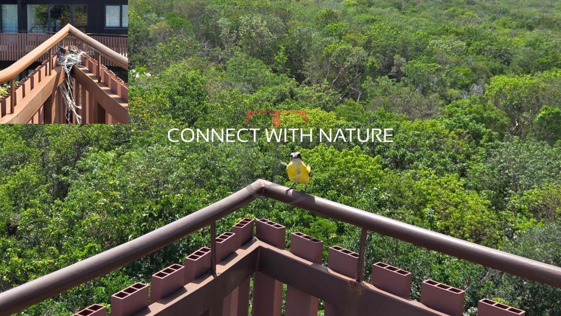 Apartment With Private Jacuzzi And Club Tulum